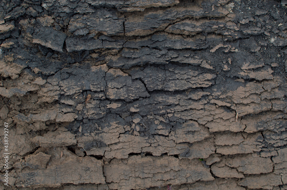 The soil was destroyed by drought, the dry, cracked earth The soil was destroyed by drought, the dry, cracked earth