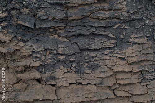 The soil was destroyed by drought, the dry, cracked earth