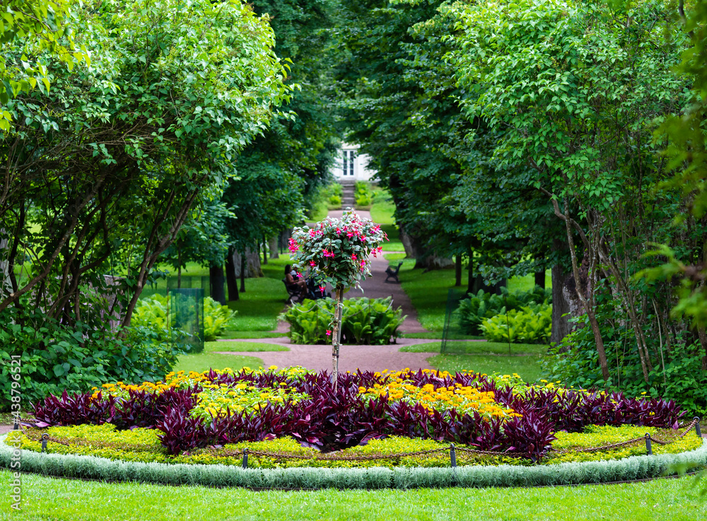 Star shape flower bed and fuchsia tree leading to linden alley in Herttoniemi manor park in Helsinki, Finland, summer landscape