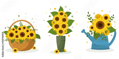 A set of three bouquets of sunflowers in a garden watering can, in a wicker basket, in a green vase and in a blue watering can. Vector illustration for your design.