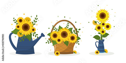 A set of three bouquets of sunflower in a garden watering can, in a woven basket and in a blue jug. Vector illustration for your design.