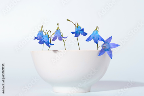 White porcelain bowl with blue flowers. Isolated on white background. 