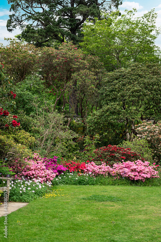 Beautiful Garden with blooming trees during spring time © manuta