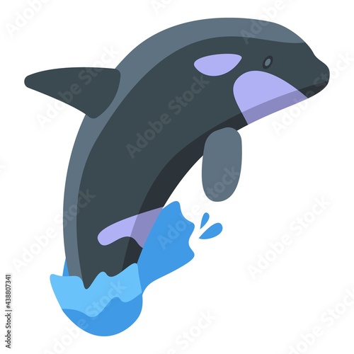 Killer whale show icon. Isometric of Killer whale show vector icon for web design isolated on white background