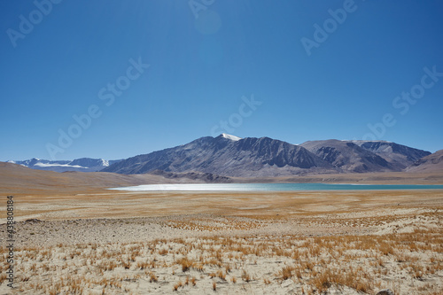 Golden grass with snow mountain