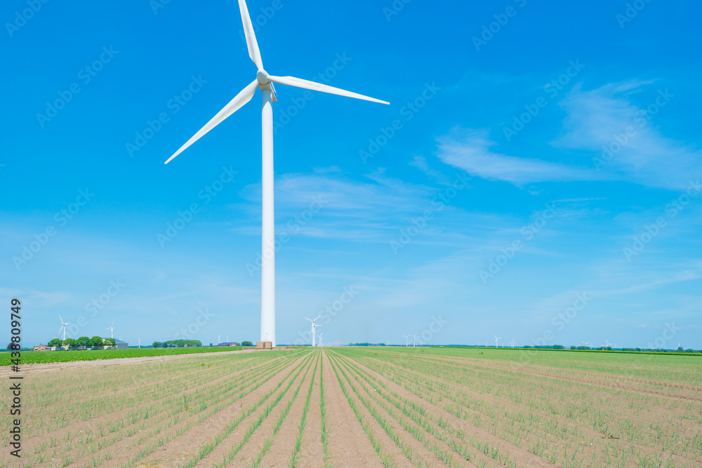 Wind turbine under construction in an agricultural field with vegetables below a blue sky in springtime, Almere, Flevoland, Netherlands, June 10, 2021 Wind turbine under construction in an agricultural field with vegetables below a blue sky in springtime, Almere, Flevoland, Netherlands, June 10, 2021
