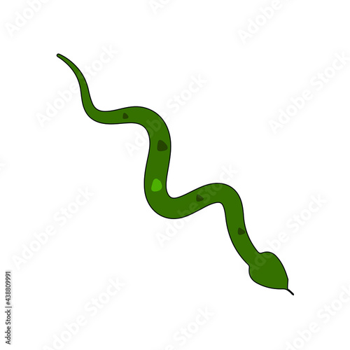 green snake on white background