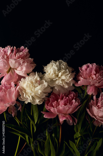 flower arrangement of pink and white peonies on a dark background close-up. moody floral, flat lay with place for text