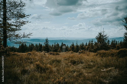 Ambona w lesie z widokiem na góry