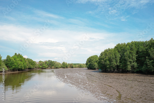 Bild auf Leinwand Landscape photo; The green mangrove forest and swamp with refection in the sea a