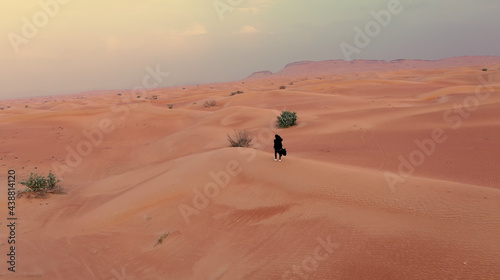 AERIAL. Camera following woman in traditional Emirati dress walking in a desert in strog wind and sunset.