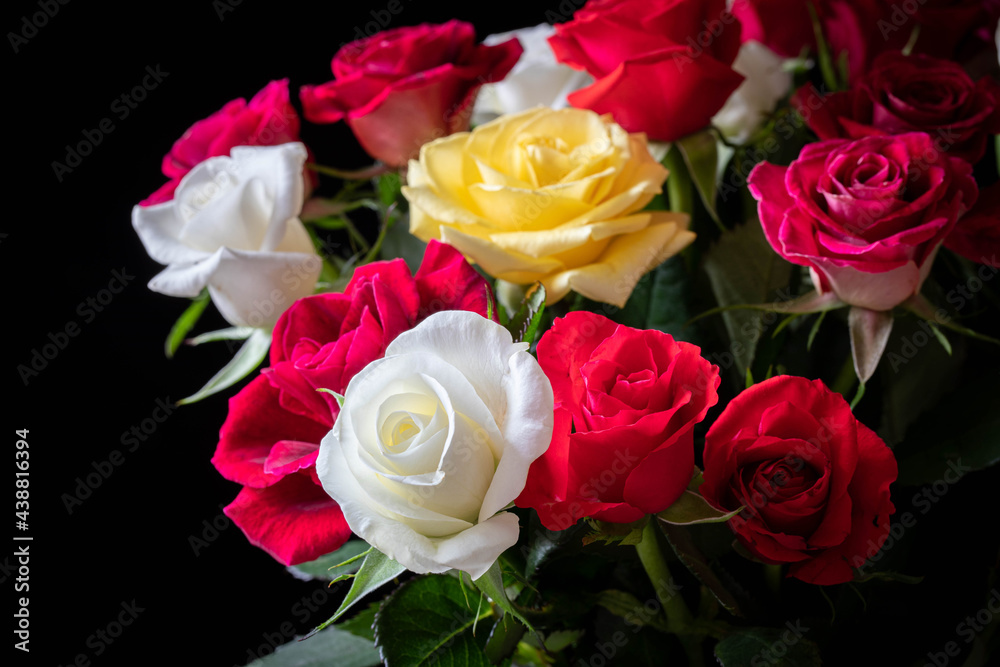 A bouquet of roses on a black background. A bouquet of roses on a black background.