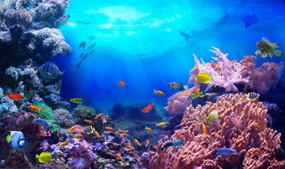 Crédence de cuisine Récifs coralliens Life in a coral reef. Rich colors of tropical fish. Animals of the underwater sea world. Ecosystem.   © silvae