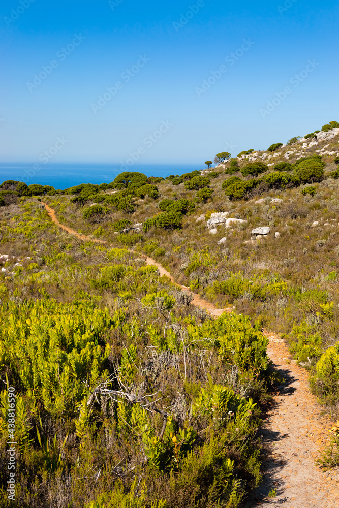 Dirt Track hiking trail on top of a mountain by the coast Dirt Track hiking trail on top of a mountain by the coast