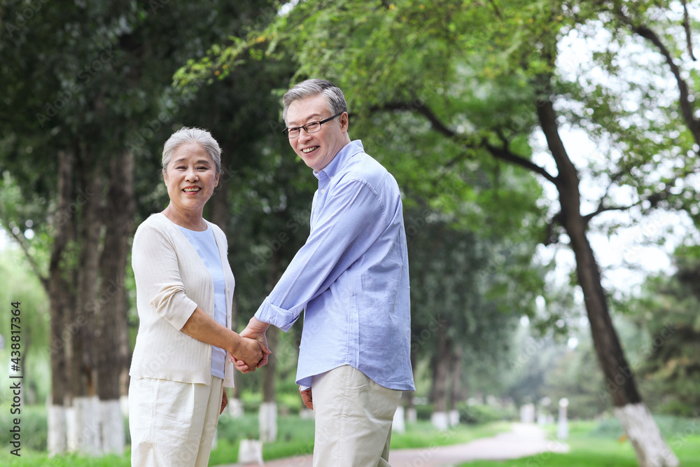 Happy old couple walking in the park