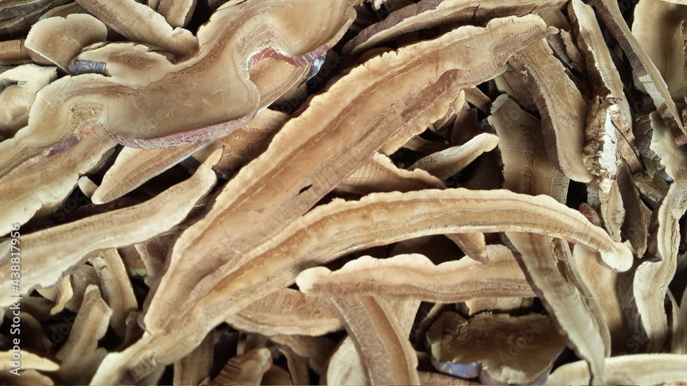 Naklejka premium Dried sliced Lingzhi mushroom 