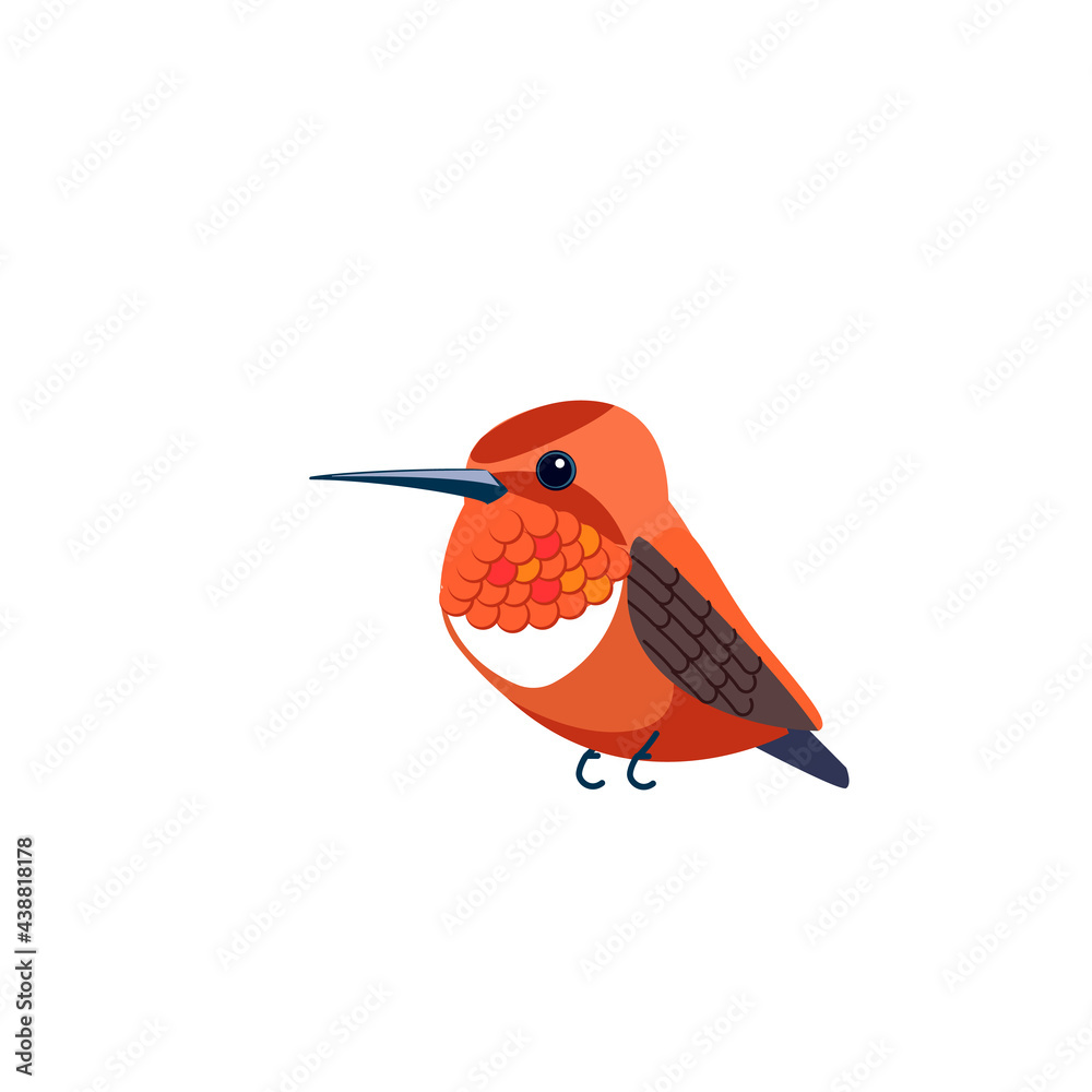 Naklejka premium Rufous Hummingbird is one of seven species in the genus Selasphorus. Orange small bird Cartoon flat style beautiful character of ornithology, vector illustration isolated on white
