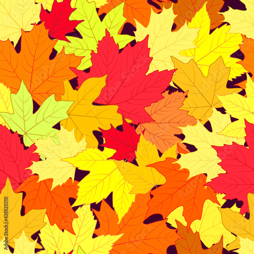 Seamless pattern. Autumn leaves of different types of maple and different shades. Background from autumn leaves.