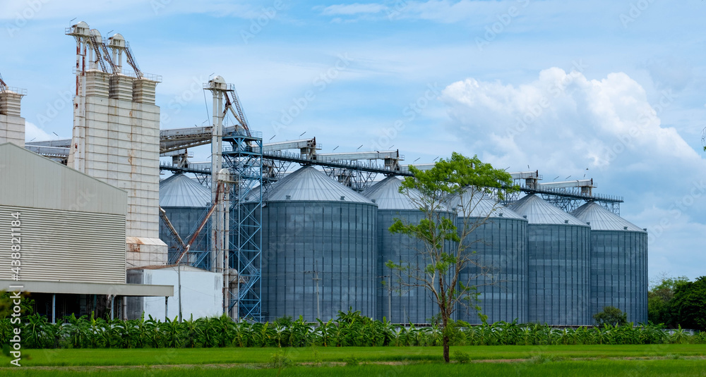 The rice mill in Phichit has a large rice storage granary.
