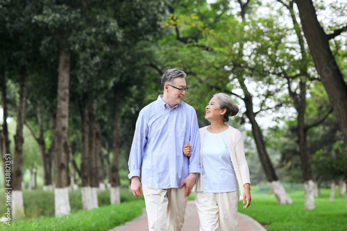 Happy old couple walking in the park