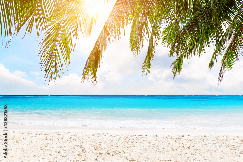 Fototapeta premium Coconut palm leaves against blue sky and beautiful beach in Phuket, Thailand.
