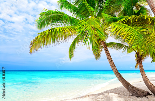 Coconut Palm trees on white sandy beach in Saona island, Dominican Republic. © preto_perola