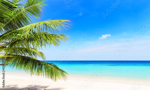 Coconut palm leaves against blue sky and beautiful beach in Phuket, Thailand. © preto_perola