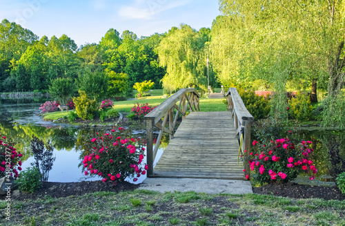 Fényképezés Private Garden with Pond and Knock Out Roses