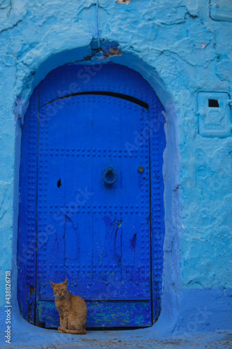 blue door with a cat  © Julieta