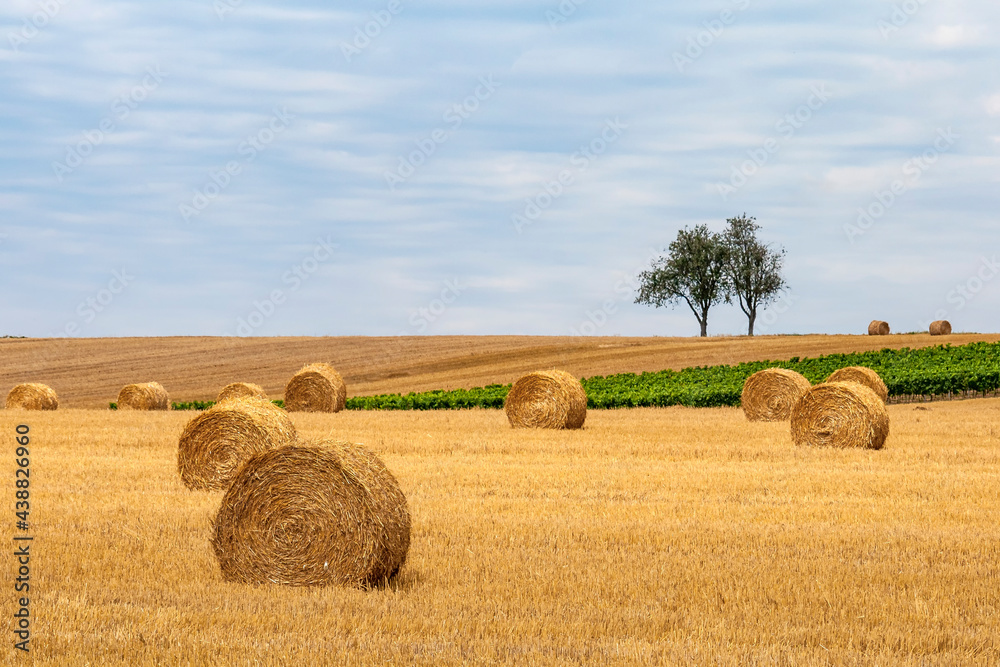 Strohballen auf Stoppelfeld