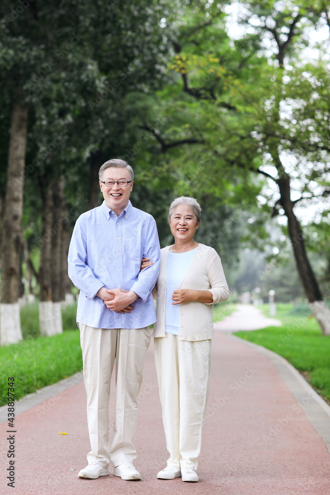 Happy old couple walking in the park