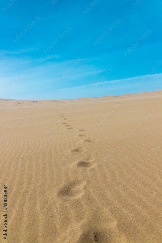 Footprints on dry desert area with nobody in sunny day, Tottori Sand Dunes.
