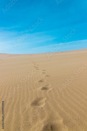 Footprints on dry desert area with nobody in sunny day  Tottori Sand Dunes.