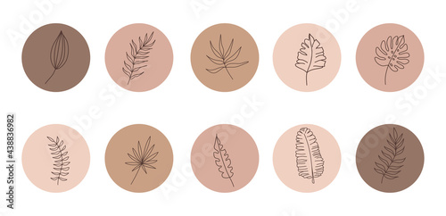 Vector abstract organic story set cover templates. Botanical illustration in earth tone colors.