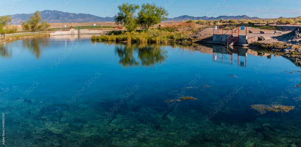 The Clear Water of Panaca Warm Springs, Panaca, Nevada, USA