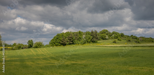 Fototapeta Naklejka Na Ścianę i Meble -  meadow and forest under cloudy skies