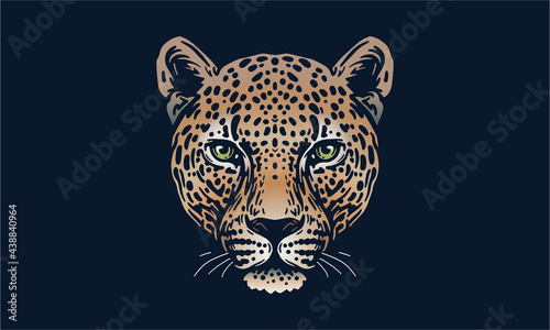 Amur leopard portrait on dark background