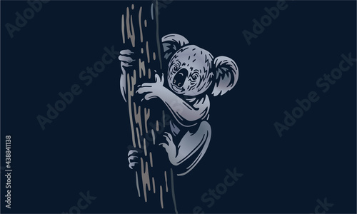 Koala on dark background