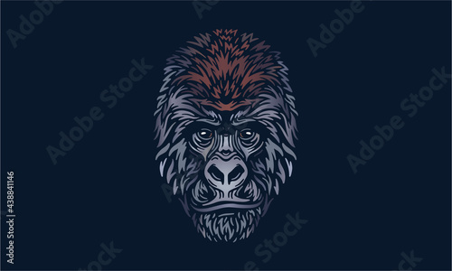 Mountain gorilla portrait on dark background
