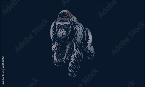 Mountain gorilla on dark background