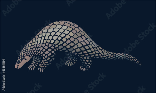 Palawan pangolin on dark background