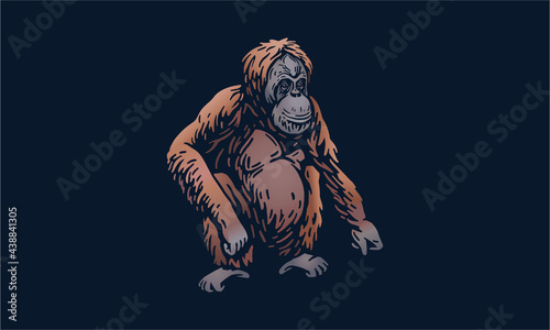 Sumatran orangutan on dark background