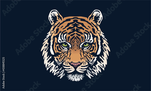 Sumatran tiger on dark background