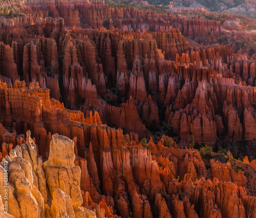 Hoodoos of Silent City From Inspiration Point, Bryce Canyon National Park, Utah, USA