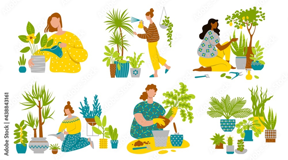 Fototapeta premium Set of women caring for houseplants. Flat image isolated on white background. Home gardening includes growing, watering, transplanting, spraying, pruning houseplants. 