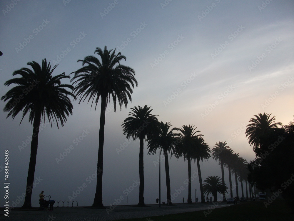 Obraz premium Portugal>front de mer