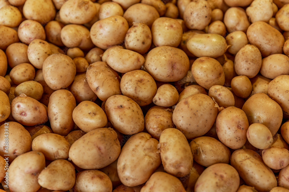 A lot of fresh young potatoes on the counter in the market. Healthy food, vitamins and veganism. Top view. Background. A lot of fresh young potatoes on the counter in the market. Healthy food, vitamins and veganism. Top view. Background.
