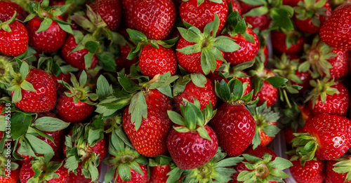 Lots of fresh bright strawberries on the market counter. Vitamins and healthy food. Top view. Background.