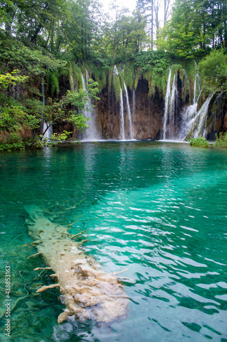 Big branch in cristal water in Plitvička jezera, Croatia with few waterfalls.