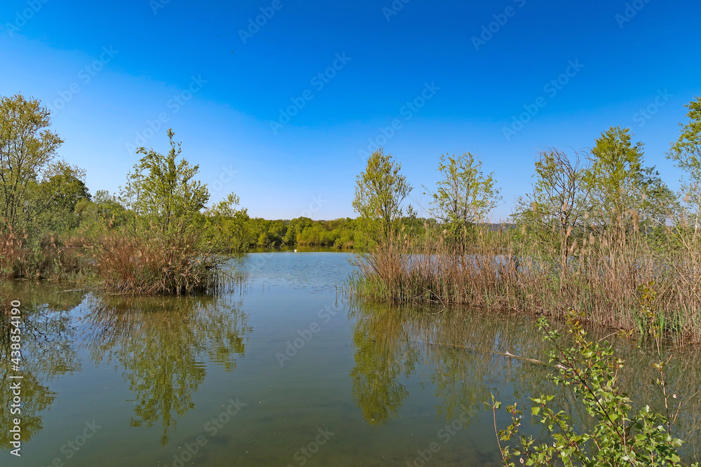 Les étangs du parc de Miribel-Jonage